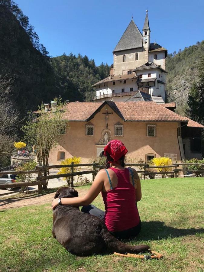 Appartamento Casa Streberi Castelfondo